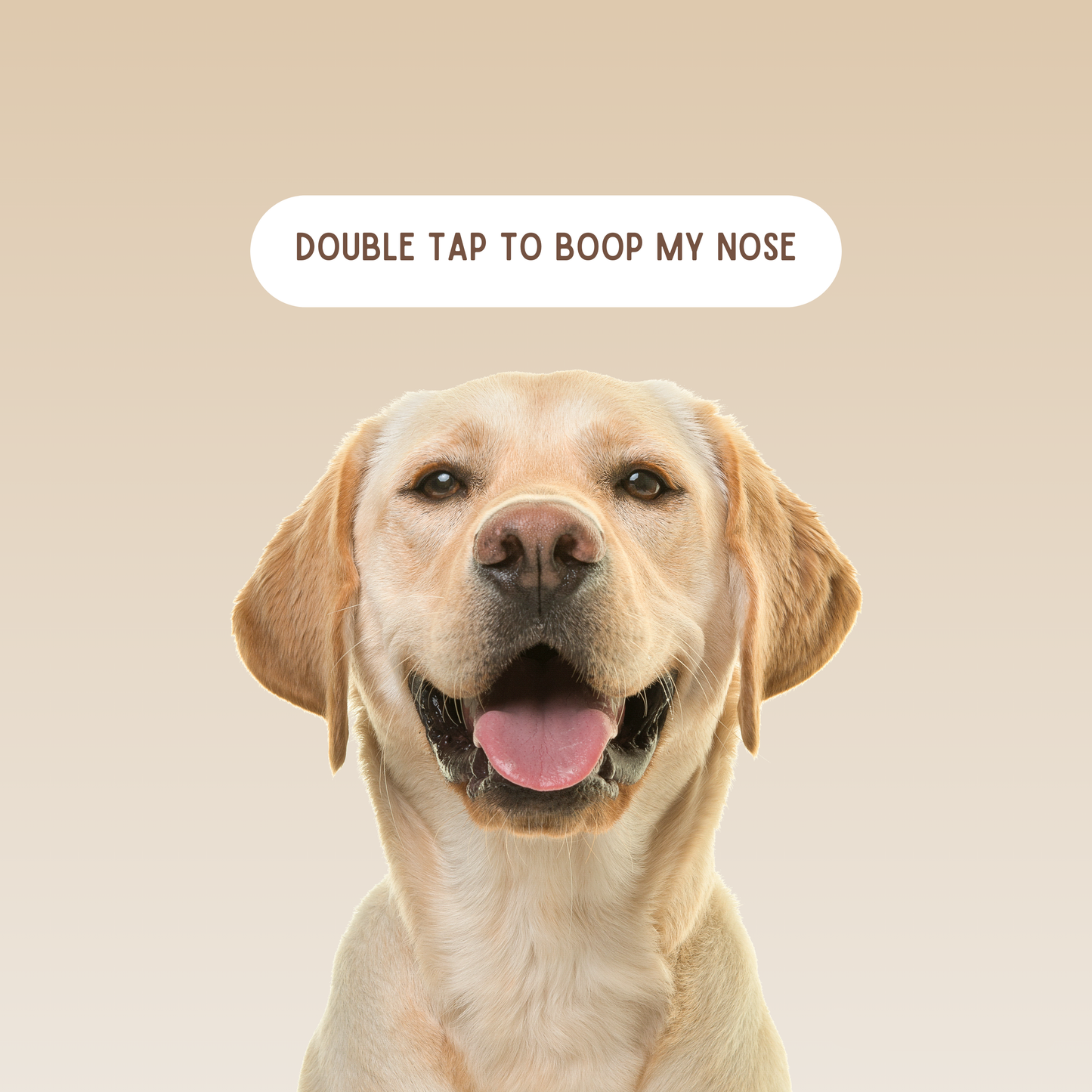 Double tap to boop