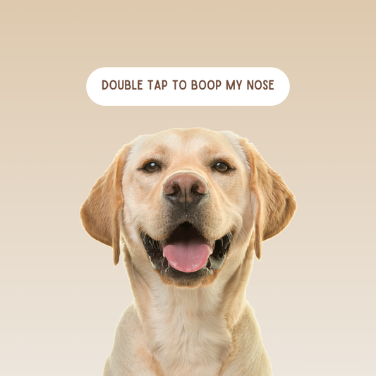 Double tap to boop