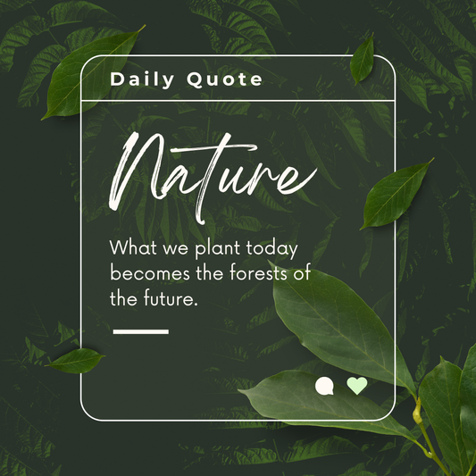 Daily quote