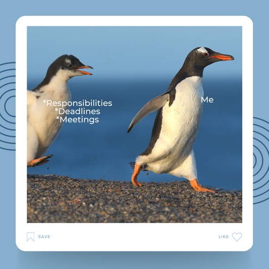 Responsibilities