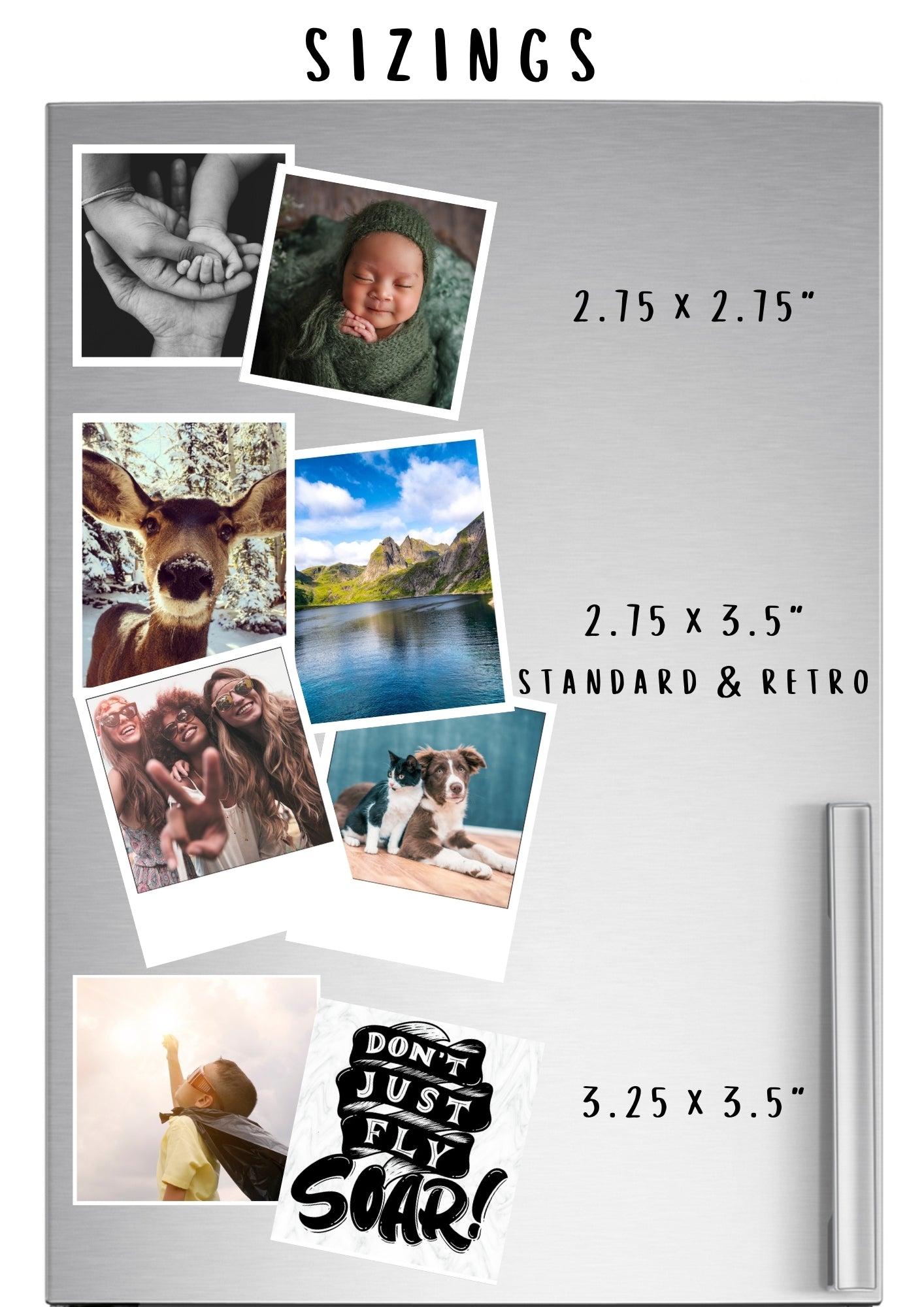 2.75 x 3.5" Magnets (set of 12)